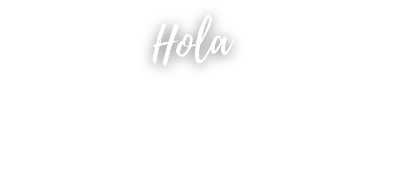 TravelNavs logo