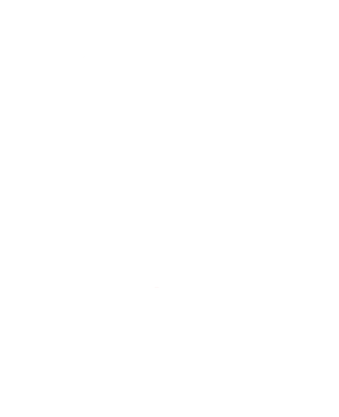 TravelNavs
